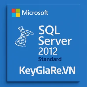 Key Bản Quyền Microsoft SQL Server 2012 Standard