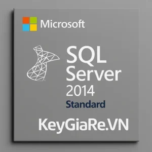 key ban quyen sql server 2014 standard