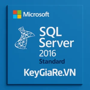 Key Bản Quyền Microsoft SQL Server 2016 Standard