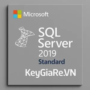 Key Bản Quyền SQL Server 2019 Standard Giá Rẻ