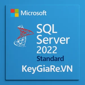Key Bản Quyền Microsoft SQL Server 2022 Standard