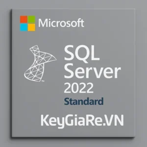 Key Bản Quyền SQL Server 2022 Standard Giá Rẻ