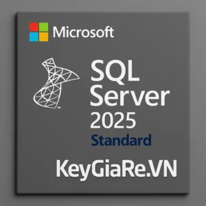 Key Bản Quyền Microsoft SQL Server 2025 Standard Giá Rẻ