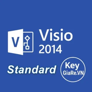 mua key ban quyen visio 2024 standard gia re